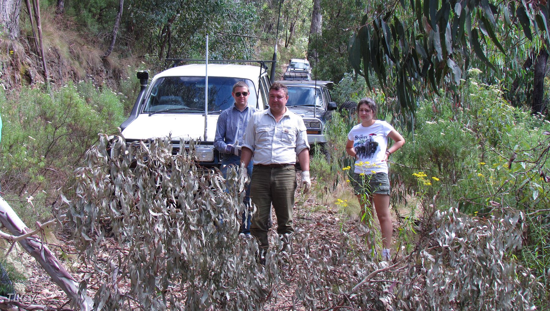 02-Michael, George & Rachel ponder over a fallen tree on the Mt Stawell Track.JPG
